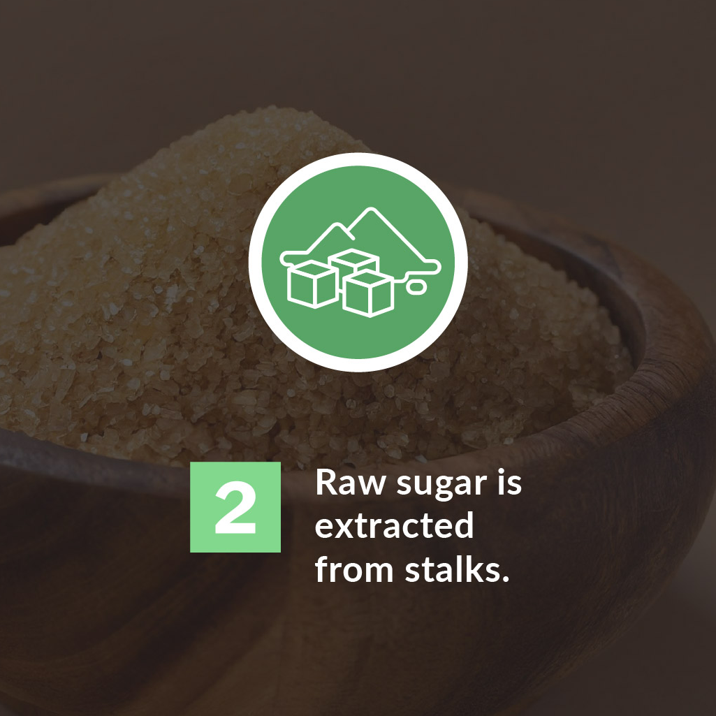 Sugarcane sourcing